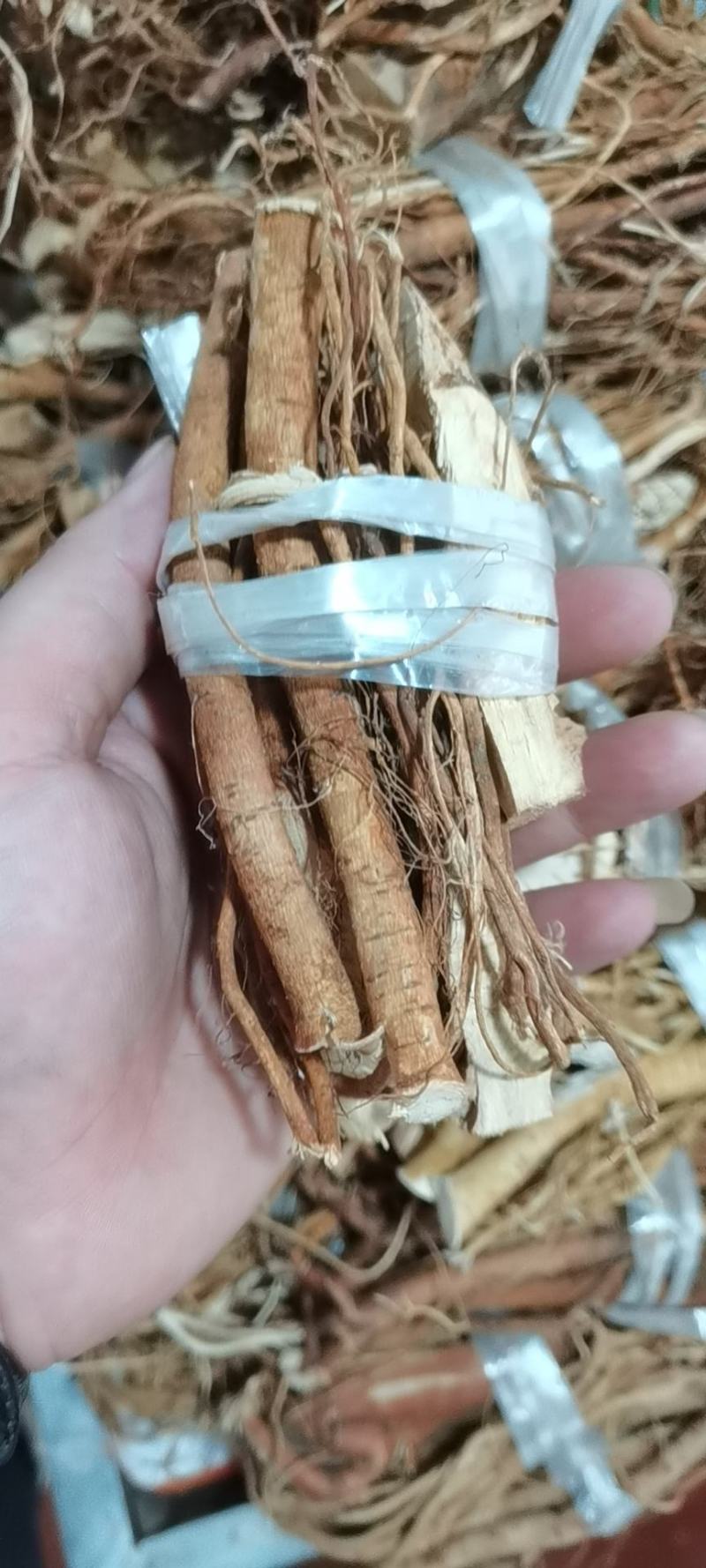 五指毛桃小扎干货！！！！！！！！！！！！！
