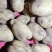 张家口黄心，白心，精品土豆，2两3两，水洗，翻包大量现货