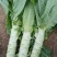 数棵莴苣价格便宜大量上市