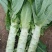 数棵莴苣价格便宜大量上市