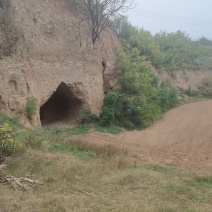 养殖基地，远离村庄，特种养殖基地，水电齐全交通便利