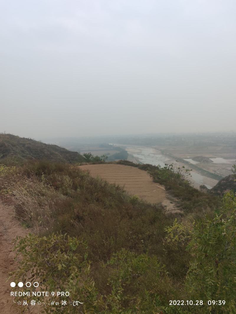 养殖基地，远离村庄，特种养殖基地，水电齐全交通便利