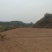 养殖基地，远离村庄，特种养殖基地，水电齐全交通便利