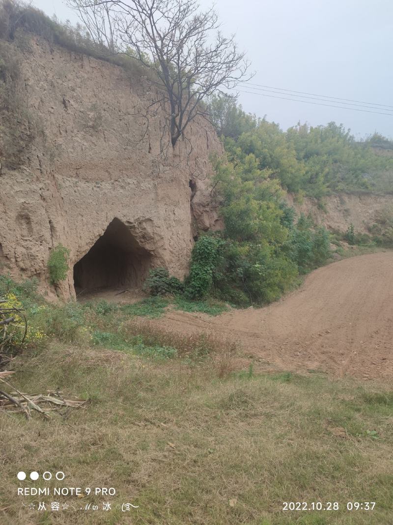 养殖基地，远离村庄，特种养殖基地，水电齐全交通便利