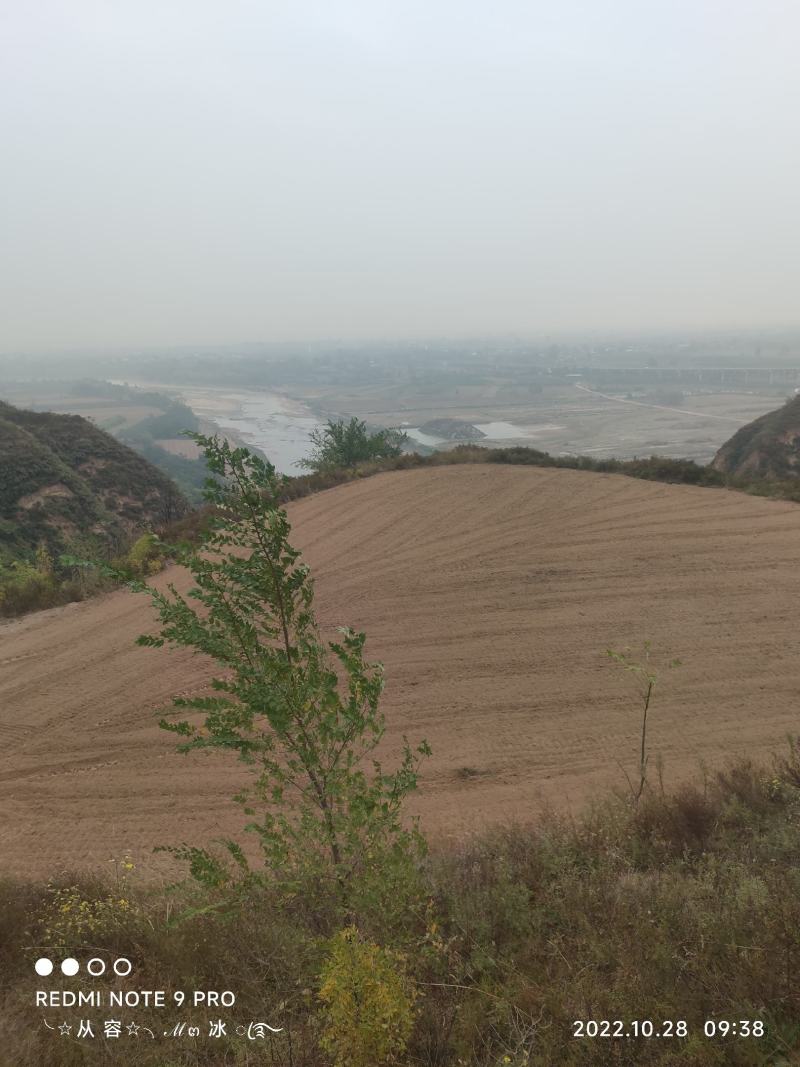 养殖基地，远离村庄，特种养殖基地，水电齐全交通便利