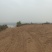 养殖基地，远离村庄，特种养殖基地，水电齐全交通便利