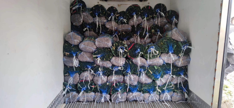 【精品】大葱，甘肃酒泉，大量上市，价格低欢迎老板采购