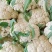 有机松花菜菜花大量上市供应中价格低货源多品质好白面青梗