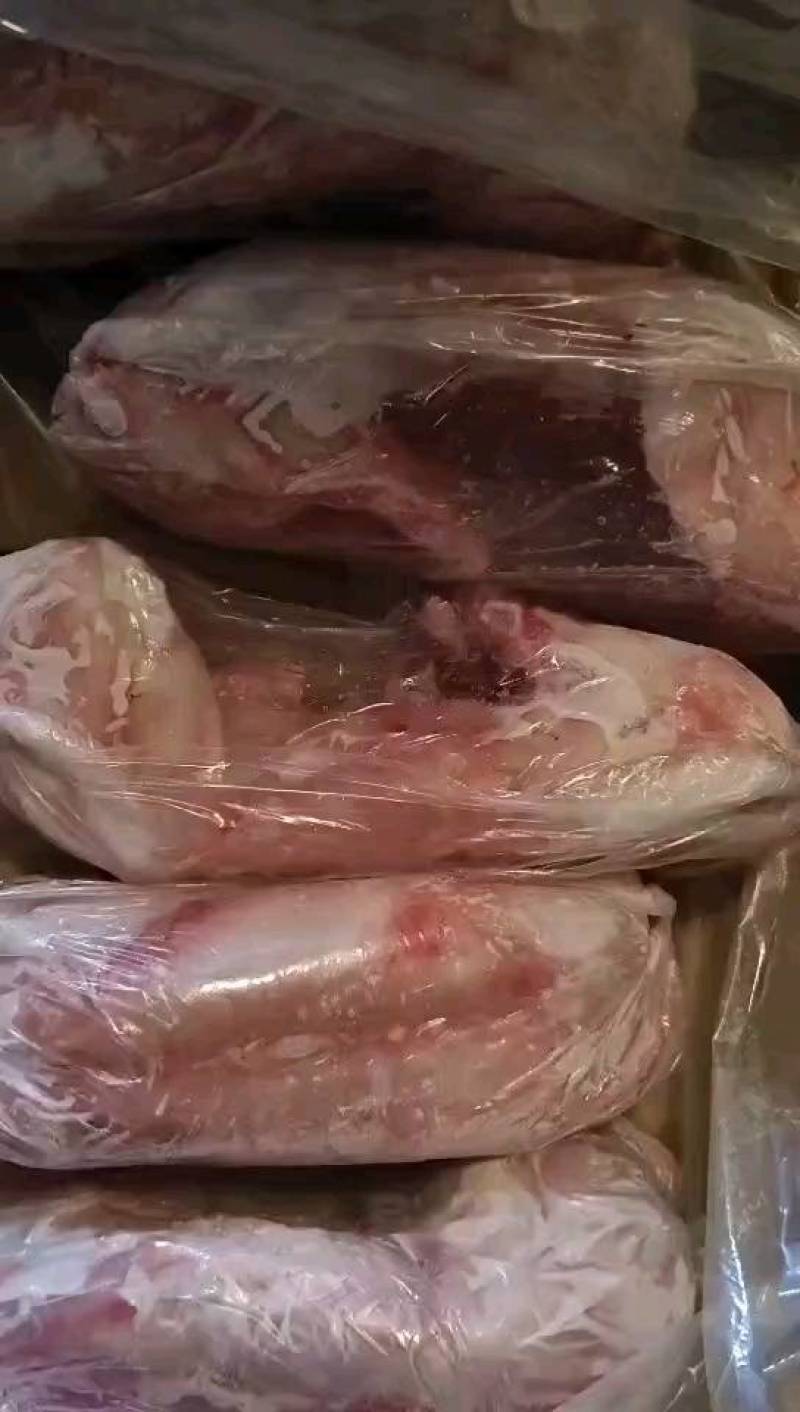 白条兔/兔肉/兔分解/质量保证专业屠宰厂/常年稳定供应