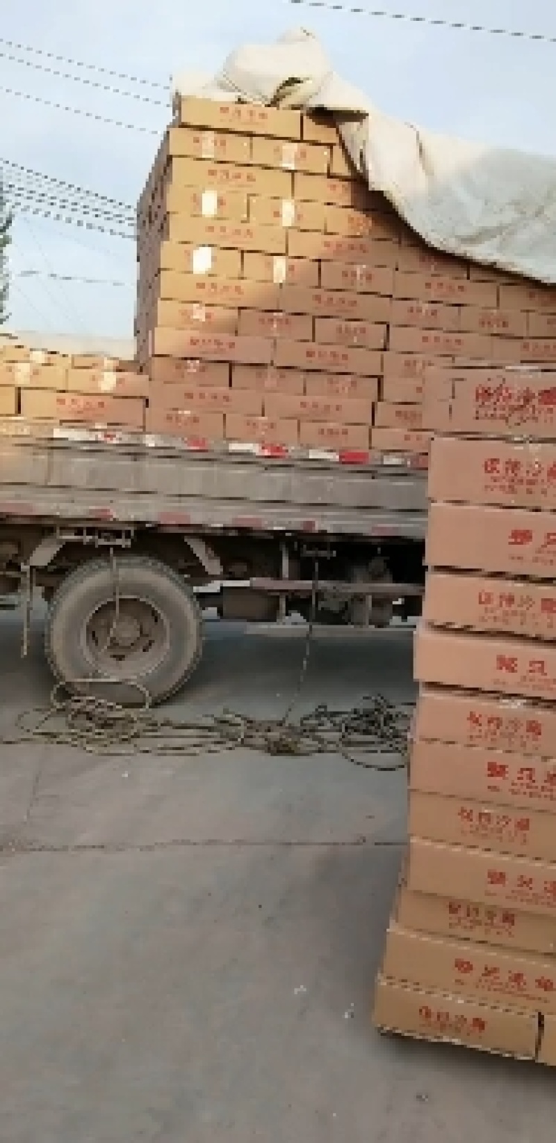 白条兔/兔肉/兔分解/质量保证专业屠宰厂/常年稳定供应