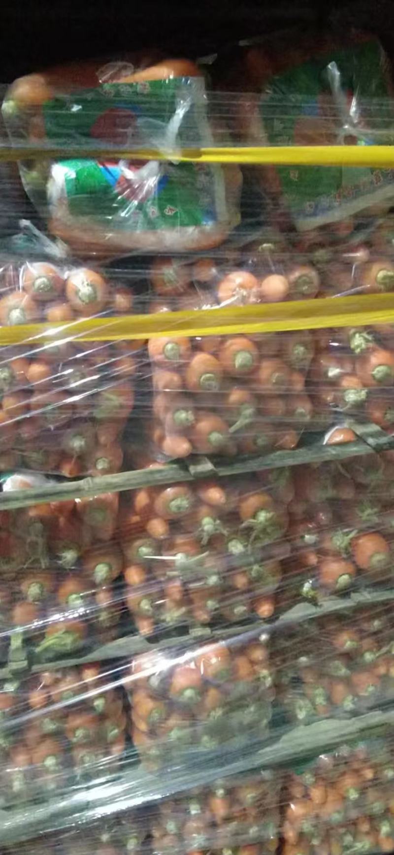 【推荐】山东潍坊青州精品胡萝卜，大量上市，欢迎采购