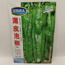 (推荐)薄皮泡椒种子高产品质优辣味浓抗性强