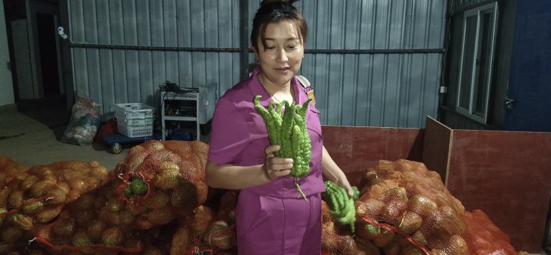 纯生态种植、无污染、无流烤干、纯白佛手干片