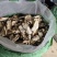纯生态种植、无污染、无流烤干、纯白佛手干片