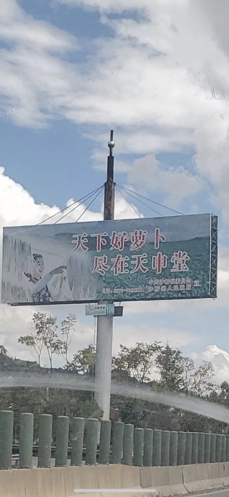 云南天申堂水果萝卜