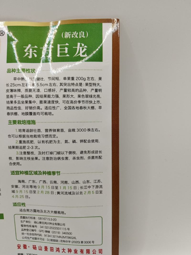 (推荐)长泡椒种子东方巨龙果形大产量高品质优