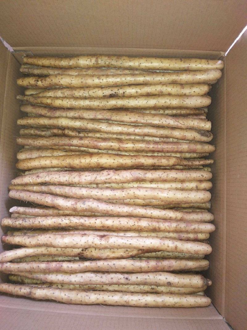 麻山药双棒小白嘴白玉二路三路巴掌下脚料大量有货出售