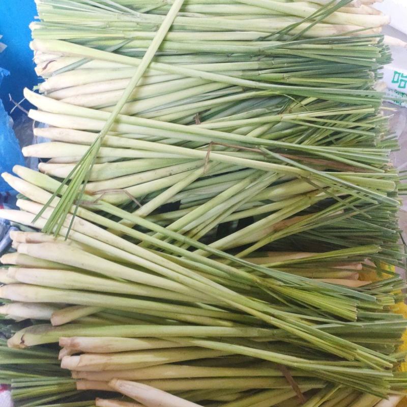 新鲜香茅草食用奶茶店调料泡茶泰国冬阴功食材香料柠檬草批发