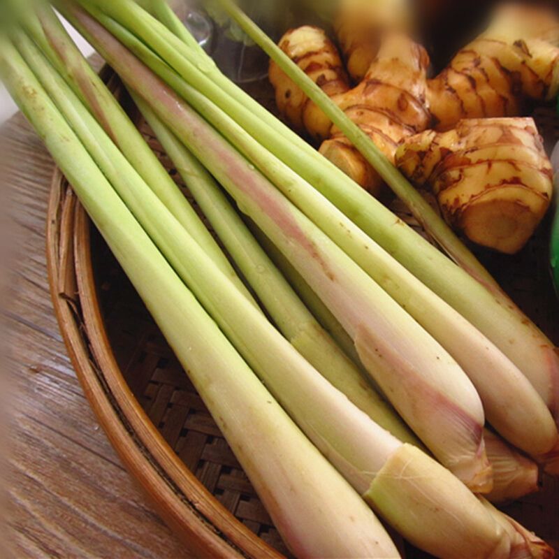 新鲜香茅草食用奶茶店调料泡茶泰国冬阴功食材香料柠檬草批发