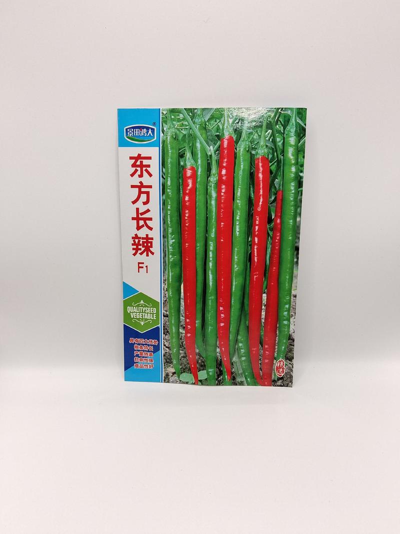 (推荐)线椒种子东方长辣辣味强结果多品质优高产