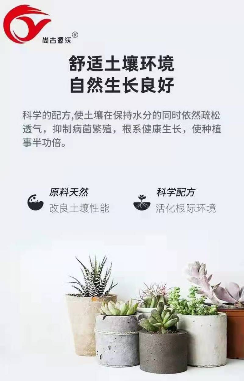 【热卖中】微生物菌剂：可促使有益菌大量繁殖，阻止病菌侵害