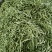 扁青芸豆精品货赶集货电商货负责找车还有其他蔬菜代办代发