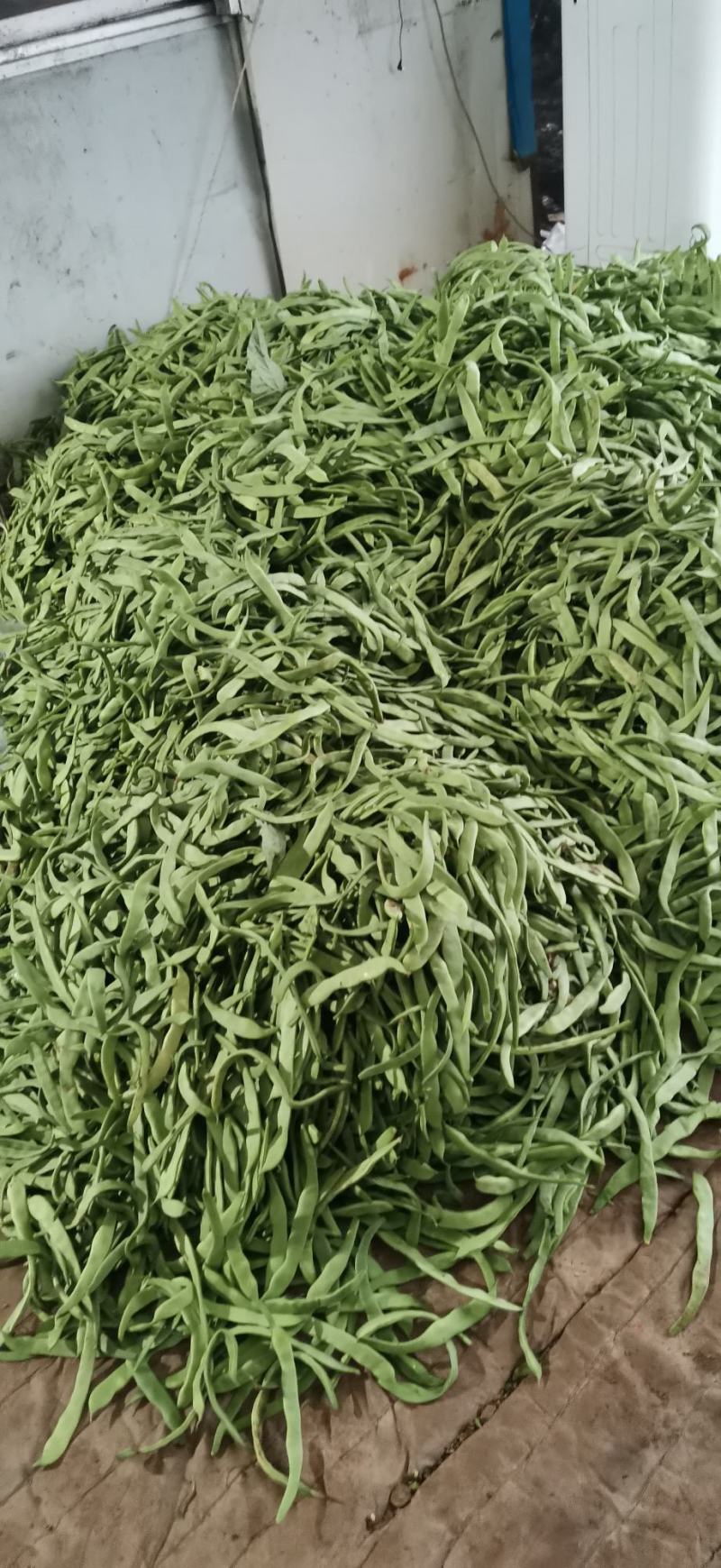 扁青芸豆精品货赶集货电商货负责找车还有其他蔬菜代办代发