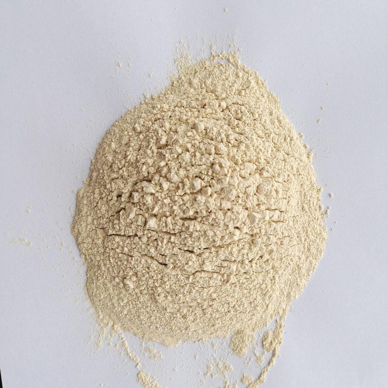金乡大蒜粉脱水蒜粉厂家批发2023年高质量纯粉