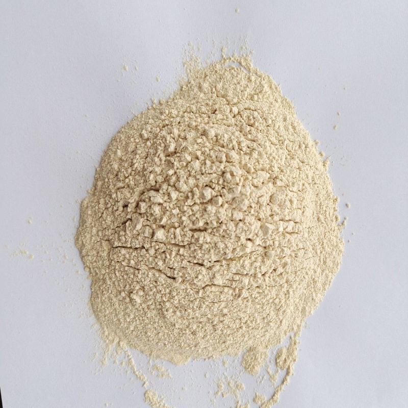 金乡大蒜粉脱水蒜粉厂家批发2023年高质量纯粉
