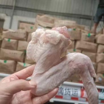 三节鸭翅大号鸭翅膀无毛无异味跑江湖批发地摊产品