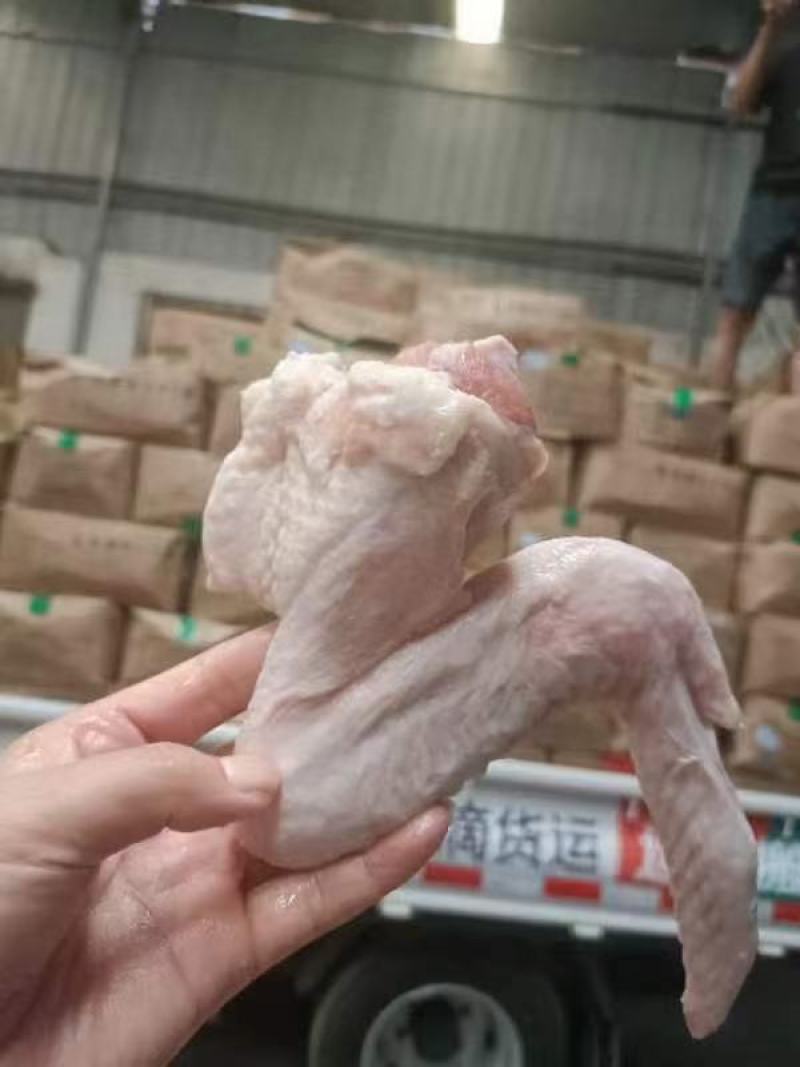 三节鸭翅大号鸭翅膀无毛无异味跑江湖批发地摊产品