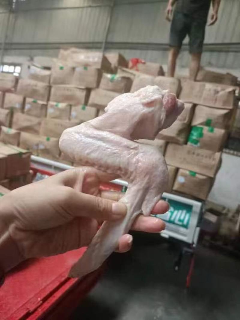三节鸭翅大号鸭翅膀无毛无异味跑江湖批发地摊产品