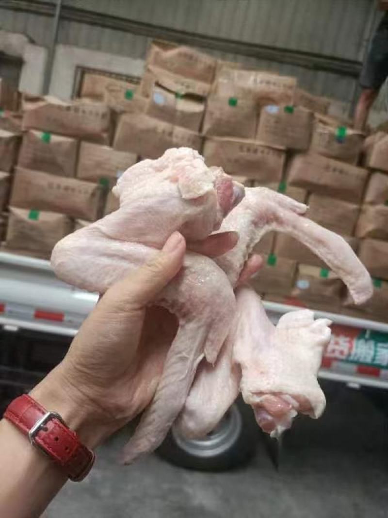 三节鸭翅大号鸭翅膀无毛无异味跑江湖批发地摊产品