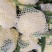 河南精品有机花菜，松花菜，商超品质，可视频看货