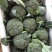 【荐】西蓝花河北西蓝花万亩基地种植量大从优欢迎采购