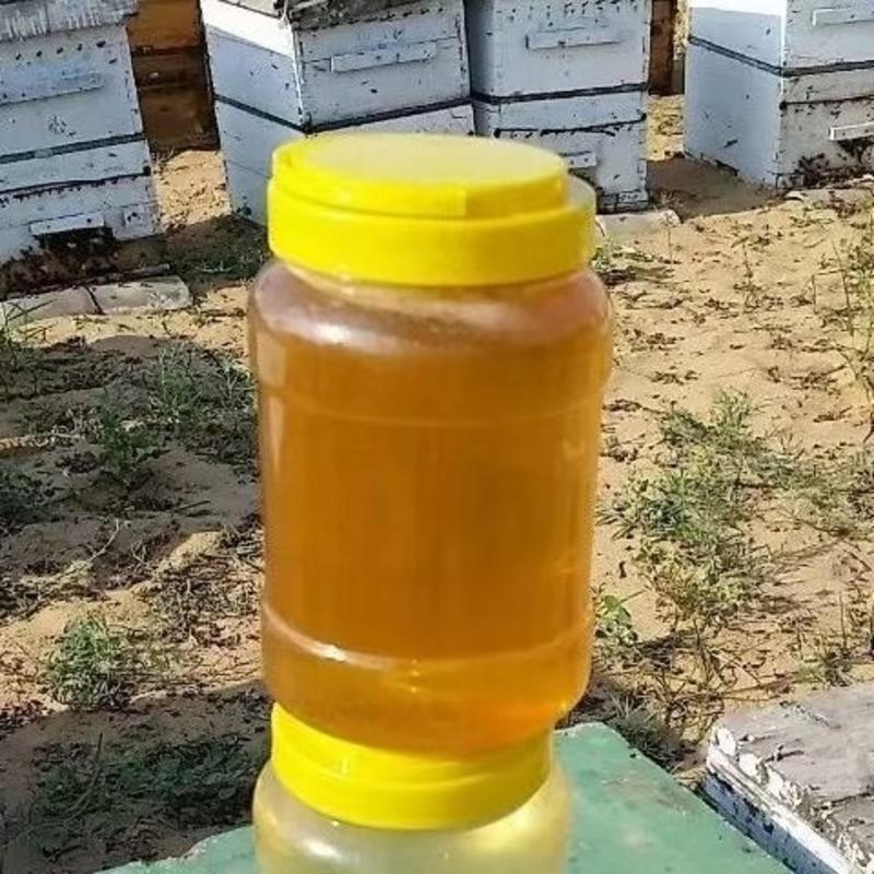 自己家养的蜂，有大概八百多斤枣花蜜，换成钱，纯正不参假