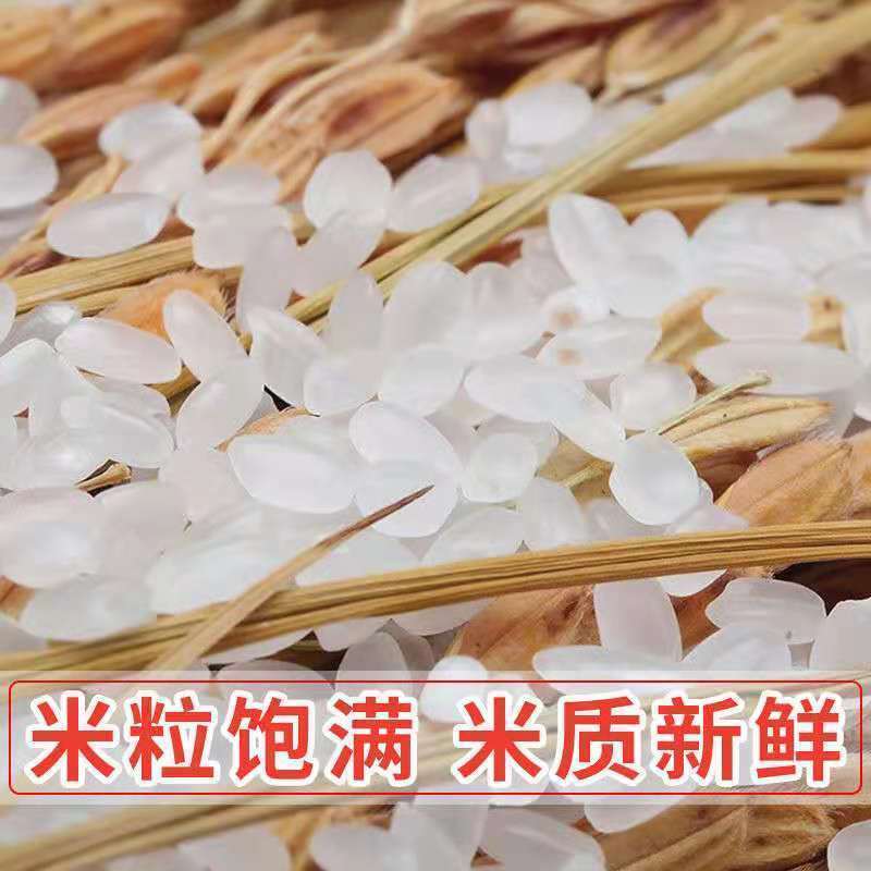 东北珍珠米，粒粒浓香，饱满剔透，货源充足大量批发