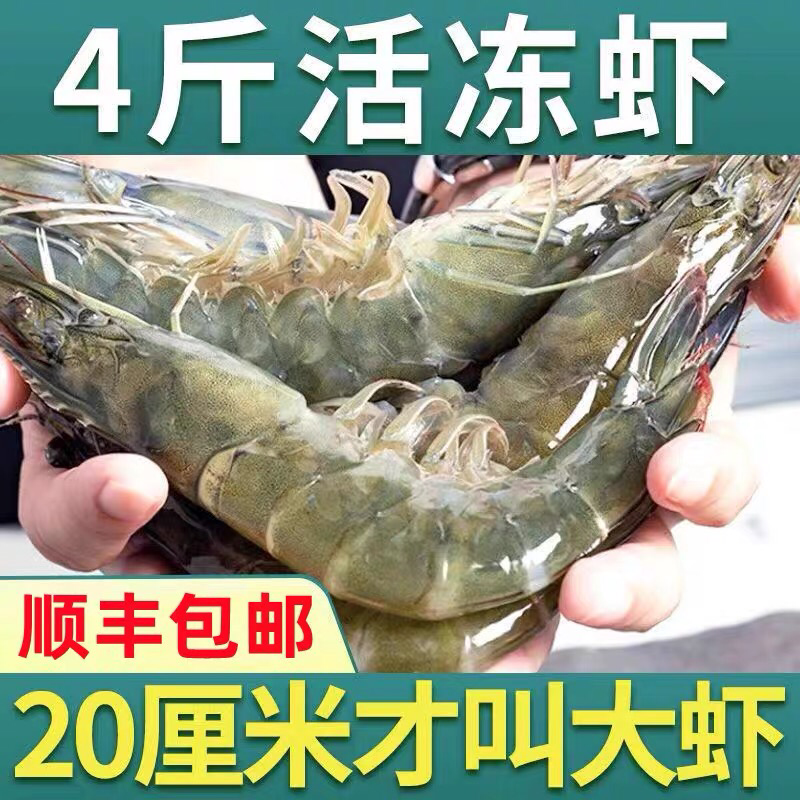 青岛船冻海虾20厘米批发大虾4斤不含冰