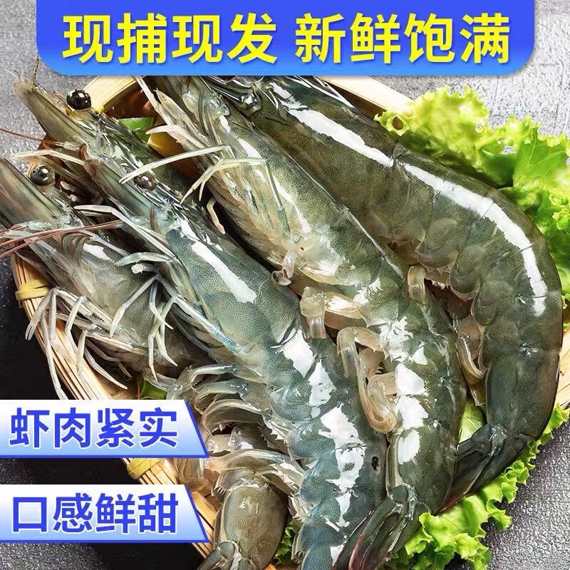 青岛船冻海虾20厘米批发大虾4斤不含冰