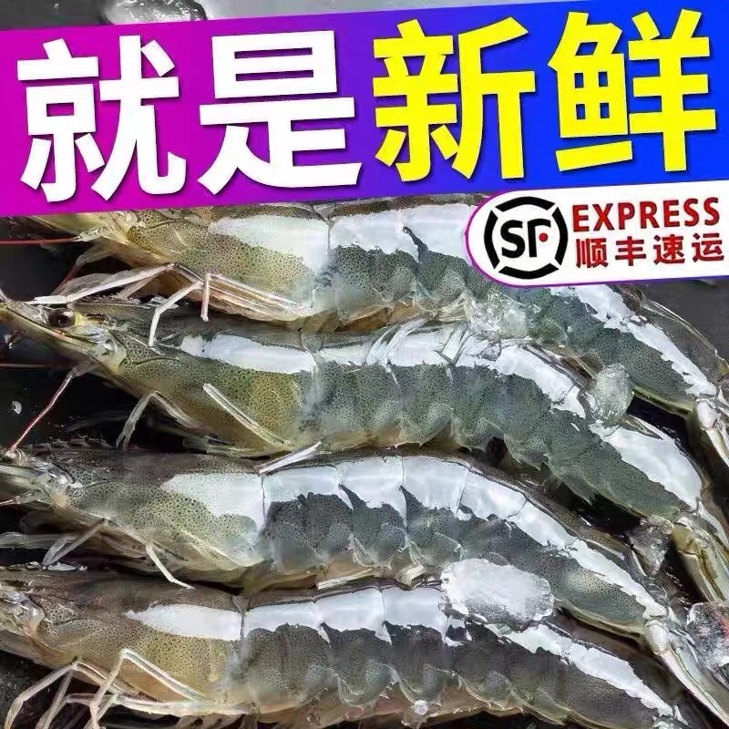 青岛船冻海虾20厘米批发大虾4斤不含冰