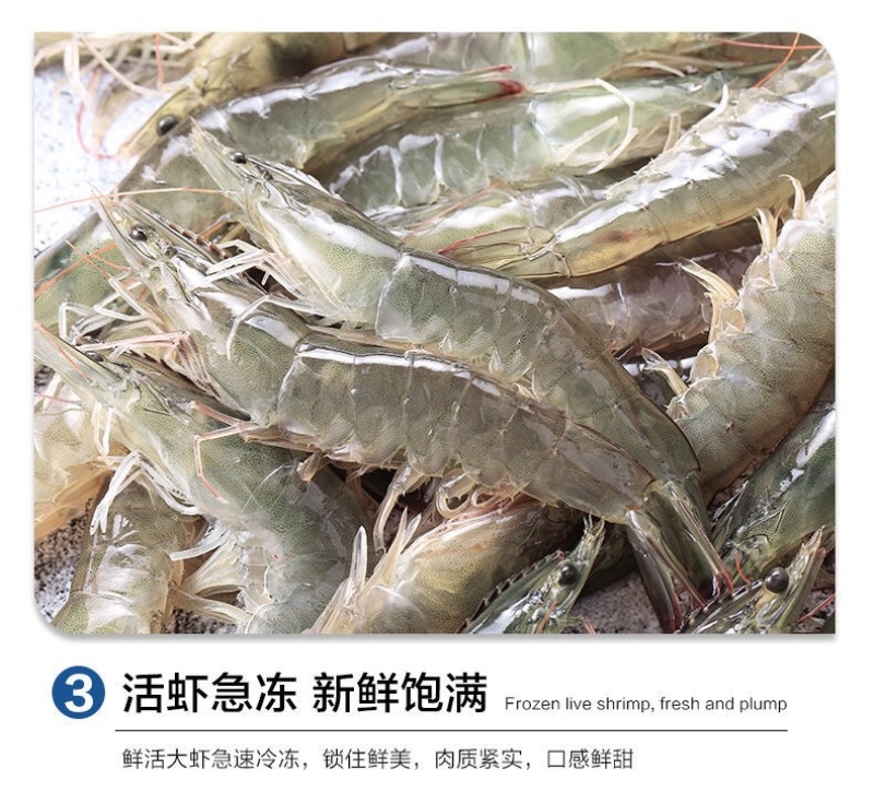 青岛船冻海虾20厘米批发大虾4斤不含冰