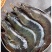 青岛船冻海虾20厘米批发大虾4斤不含冰