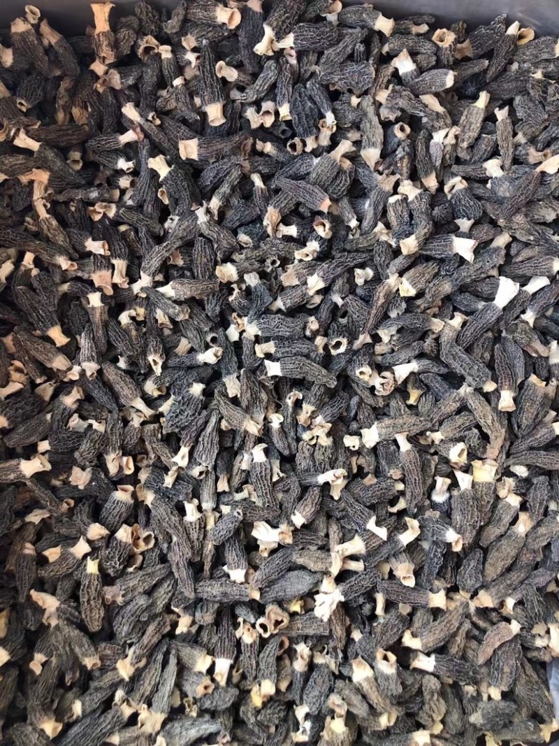 【推荐】精品羊肚菌干货羊肚菌批发零售基地直发保质保量