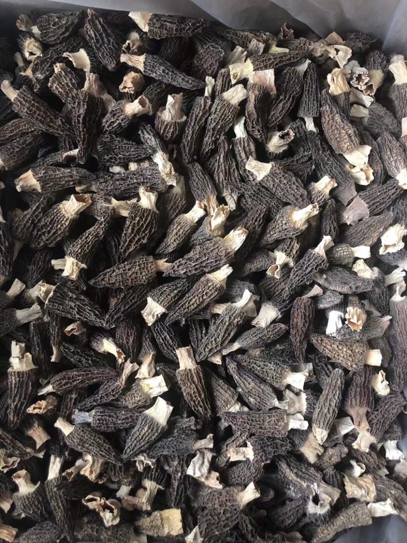 【推荐】精品羊肚菌干货羊肚菌批发零售基地直发保质保量