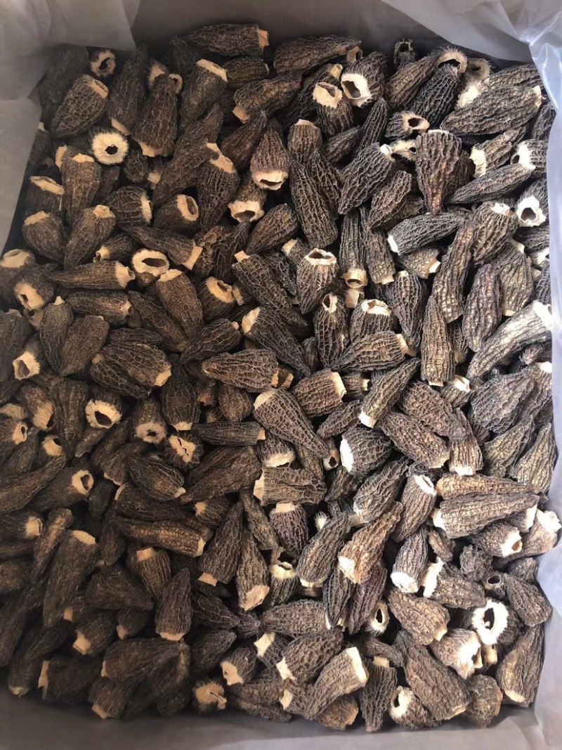 【推荐】精品羊肚菌干货羊肚菌批发零售基地直发保质保量
