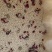 散装藕粉坚果玫瑰藕粉地摊秤斤瓶装藕粉厂家出货