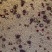 散装藕粉坚果玫瑰藕粉地摊秤斤瓶装藕粉厂家出货