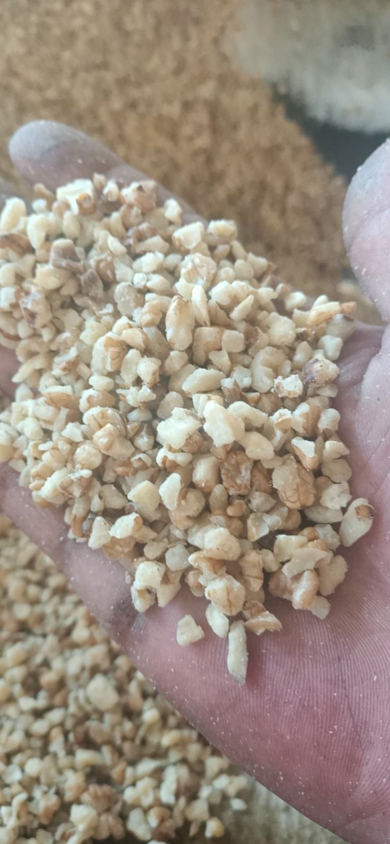 汾阳核桃