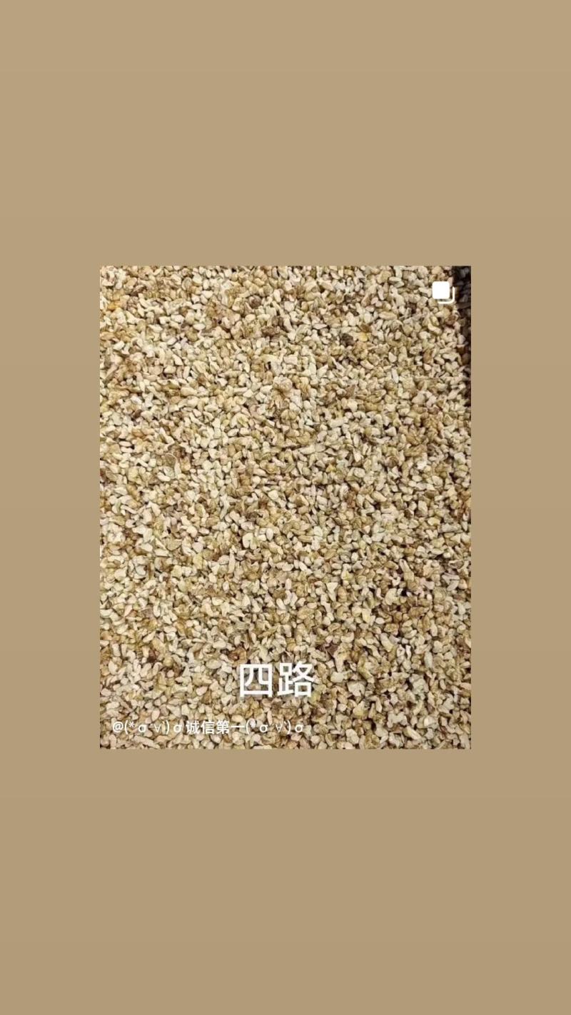 汾阳核桃