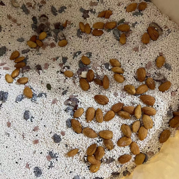 散装藕粉坚果玫瑰藕粉地摊秤斤瓶装藕粉厂家出货